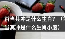 你知道哪个生肖是首当其冲的吗？（哪个生肖是首当其冲？小度告诉你）