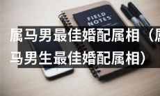 属马男生的最佳婚配属相：探究属马男最匹配哪个属相结婚