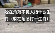 躲在角落不露面与哪个生肖相关？（躲在角落谜底揭晓：哪只生肖会躲在角落不露面？）