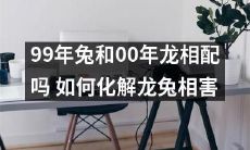 龙兔相遇：究竟是99年兔和00年龙相配还是相害？如何有效化解龙兔之间的矛盾？