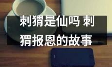 刺猬是否拥有神秘力量？探究一则关于刺猬的报恩故事