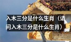 请问入木三分毫不留情是哪个生肖？