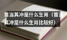 哪个生肖首当其冲？哪个生肖是最容易成为先锋的？
