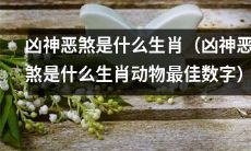 哪些十二生肖动物被认为是凶神恶煞？它们崇拜的最佳数字是什么？
