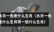 究竟是哪种生肖代表着“水天一色”这个意象？进一步解析水天一色与哪些生肖有关联
