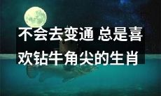 生肖中总是坚持固定思维模式、不懂得变通、喜欢小题大做、钻牛角尖的表现
