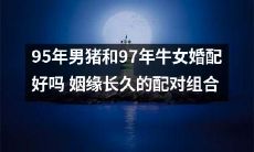 探讨95年男猪和97年牛女的婚姻配对是否合适，探寻姻缘长久的最佳组合搭配