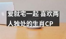 寻找幸福的指南：拥抱宅在一起，喜欢独处的生肖CP的完美配对策略