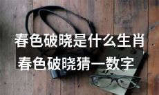 春色破晓是哪个生肖？用数字猜测一下吧！