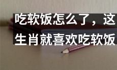 这十二生肖中的一个就是喜欢吃软饭的，有何不可？