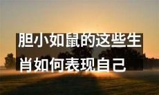 害羞如小鼠的这些十二生肖在社交场合中如何充分展现自我？