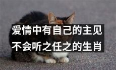 脾气倔强的生肖：对爱情有自己的看法，不随意听从他人建议