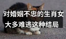 生肖女持续不忠婚姻的悲哀结局，大部分无法避免！