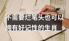 如何不借助烂笔头也能拥有极佳的记忆力：探讨生肖中的记忆高手