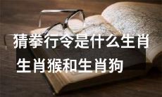 有哪些生肖属于参与猜拳行令的可能性？探索生肖猴和生肖狗的猜拳行令表现及意义！