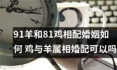 鸡与羊属相婚配：探讨91只羊和81只鸡的婚姻如何相配？