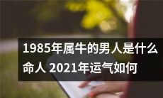 1985年出生属牛的男性的命运预测以及2021年运势如何？