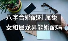 可以适配？八字合婚匹配考虑-属兔女和属龙男之间的关系可能性如何？