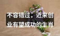 近期有望成功创业的兴旺生肖，别错过！