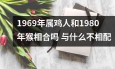 1969年出生的属鸡人和1980年出生的猴相合吗？除此之外，还有哪些属相与其不相配？