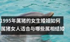 如何评估1995年属猪的女生的婚姻状况？哪些属相是属猪女人最适合结婚的对象？