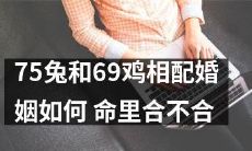 匹配度如何？探究75只兔与69只鸡的婚姻命运是否注定相合？