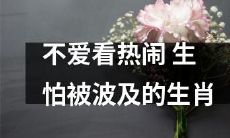 十二生肖中有一种生肖害怕被牵连，它不愿意观看热闹场面