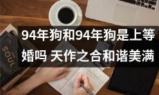 天作之合，94年出生的两只狗是否结婚的上乘选择？探索其和谐美满的可能性