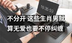 这些生肖男不愿分离，即使缺乏爱意也会不断缠绕不舍