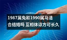 以生肖为基础的婚姻匹配：1987年出生的属兔和1990年出生的属马是否合适？探究相互体谅的重要性以维系长久幸福的婚姻关系