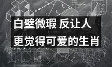 白璧微瑕：可爱之美由缺陷而生的生肖形象