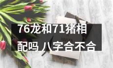 根据八字算命：76龙和71猪的命运通盘分析，其合适性究竟如何？