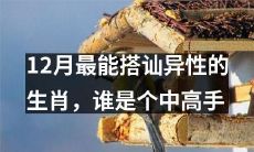 12月哪个生肖最有搭讪异性的天赋？探究其中的高手是谁