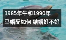 1985年诞生的牛和1990年出生的马如何进行婚配,是否适宜结婚?