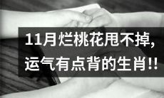 十一月桃花不济，运势衰落，最衰生肖排行榜