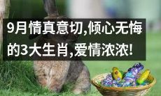 9月情窦初开，披荆斩棘的3大生肖，热恋甜蜜浪漫！