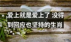 坚定不移的爱，即使没有回应——探索那些生肖