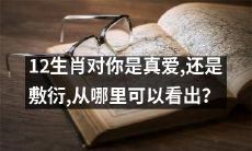 如何辨别12生肖对你的真爱程度：从哪些方面可以看出它是真心付出，而非敷衍？