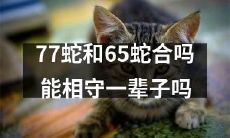 这篇文章将探讨：两种蛇的生活习性、性格和生态环境能否协调，从而回答问题：77蛇和65蛇是否能够和平共处并持续终生？
