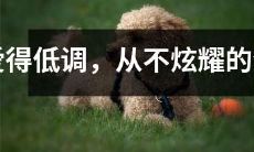 表现谦逊，深藏不露的生肖个性特征