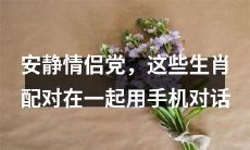 深夜静谧中的恋人，生肖匹配对话从手机上展开