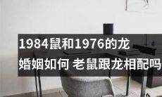 老鼠与龙的婚姻：揭秘1984年的鼠与1976年的龙搭配之路，探讨老鼠和龙是否有天生相宜的配对之妙？