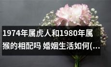 婚姻生活如何？探究1974年属虎人和1980年属猴的相配情况！