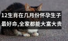 世界十二生肖研究:最佳生育月份对家族运势的积极影响