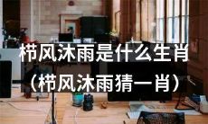 请问栉风沐雨是哪个生肖（以栉风沐雨猜测对应生肖）