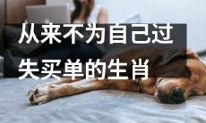 十二生肖中，永不承担过失责任的动物们