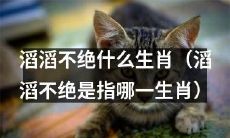 哪一生肖的口才如滔滔江水？