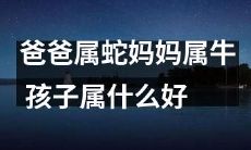 如果父亲属蛇母亲属牛，那么孩子将属于哪个生肖？