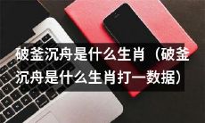 哪种生肖对破釜沉舟这一行为最擅长（寻找破釜沉舟行为的最佳生肖挑战）