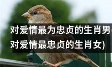 生肖中最忠贞于爱情的男性(女性)是哪些？